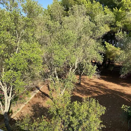 度假居 Trullo Degli Amici 奥斯图尼