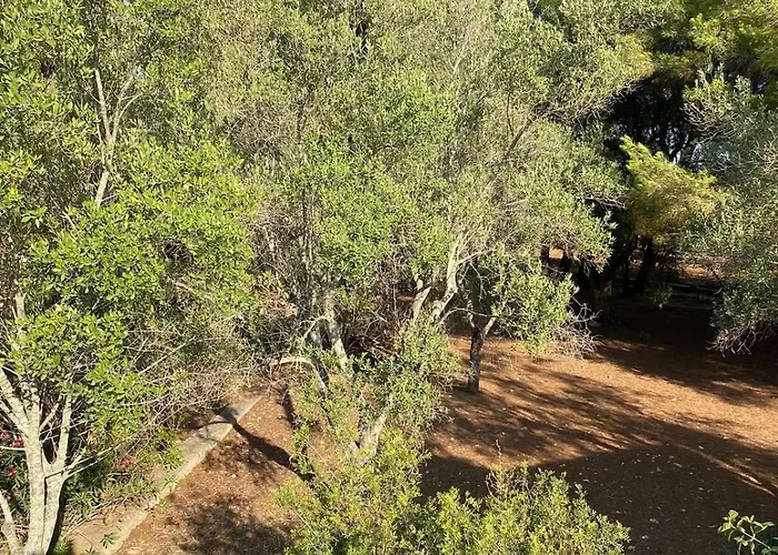 度假居 Trullo Degli Amici 奥斯图尼